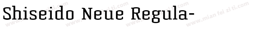 Shiseido Neue Regula字体转换